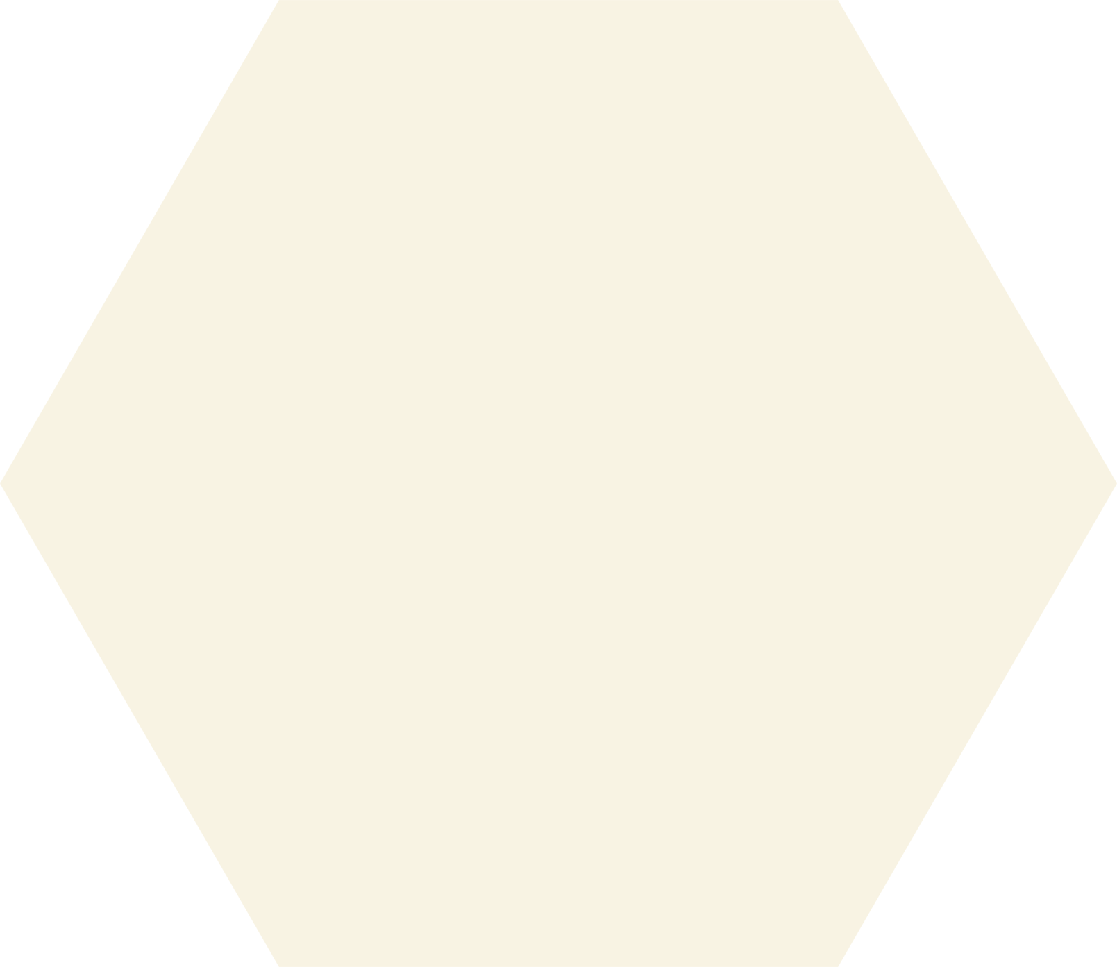 Codicer 95 | Basic