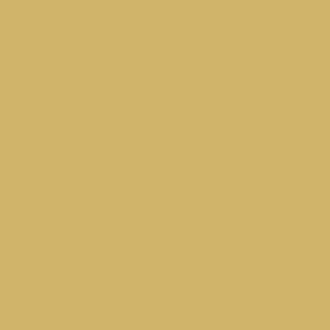 Codicer 95 | Basic