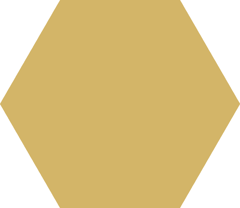 Codicer 95 | Basic