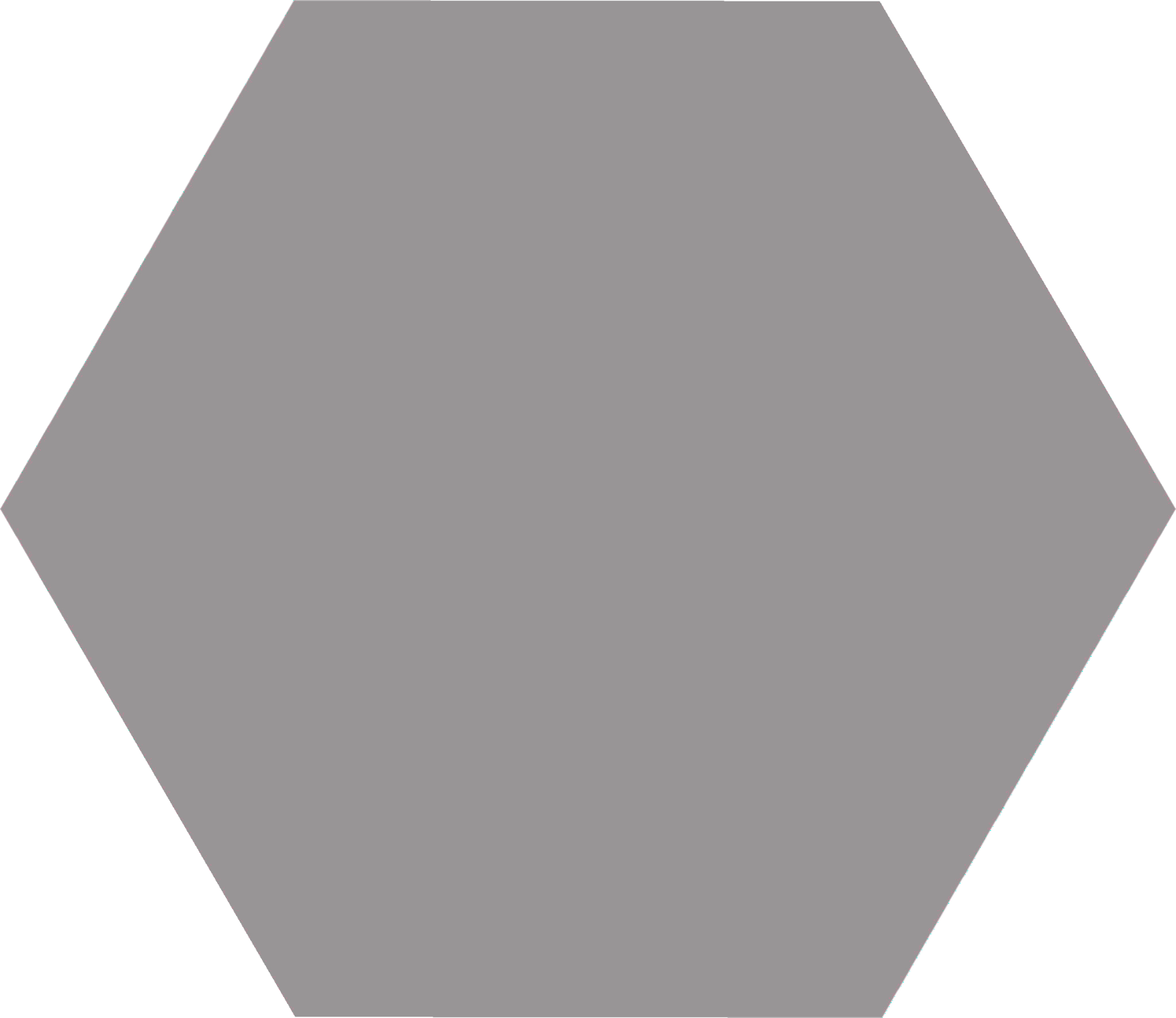Codicer 95 | Basic