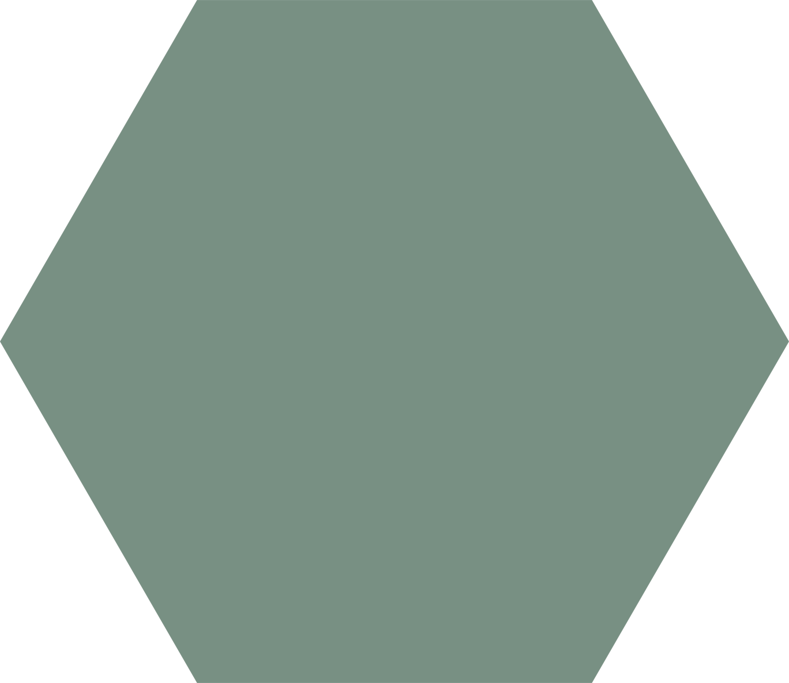 Codicer 95 | Basic