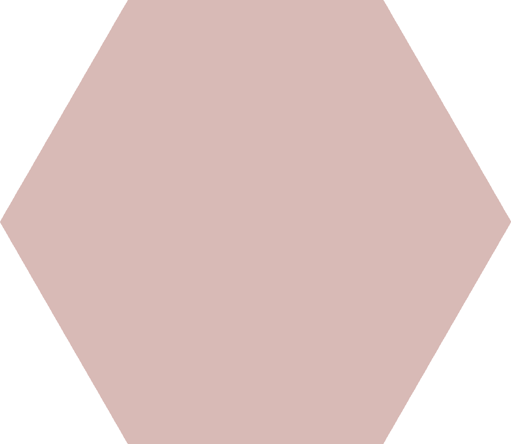 Codicer 95 | Basic