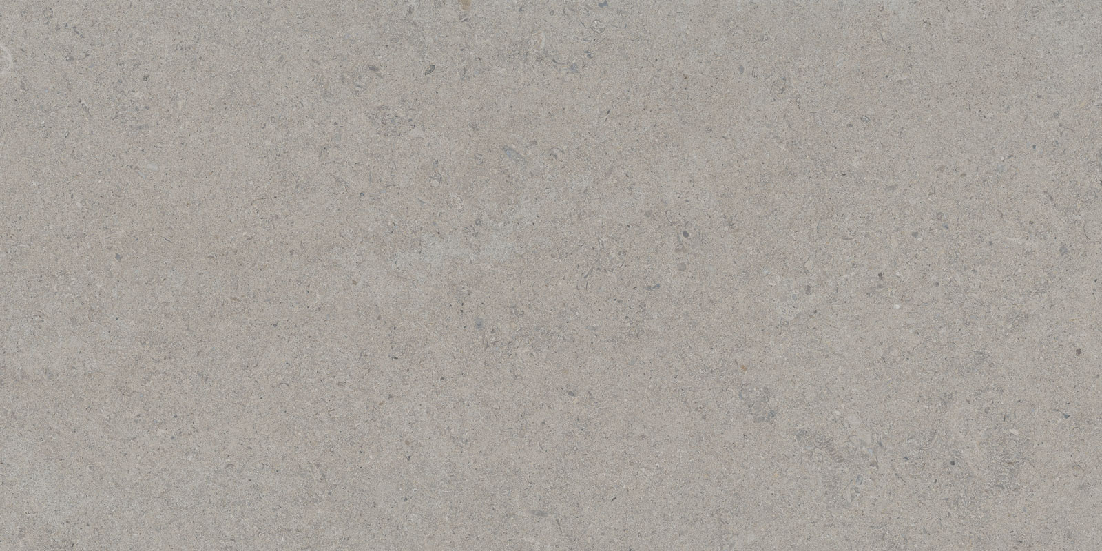 CALCARE SILVER 60X120 — Tau Ceramica Calcare