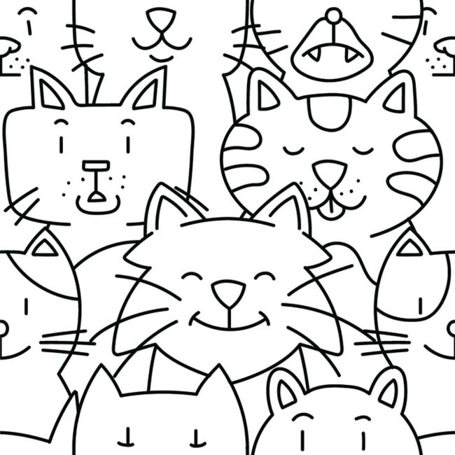 Codicer 95 | Oh my cat